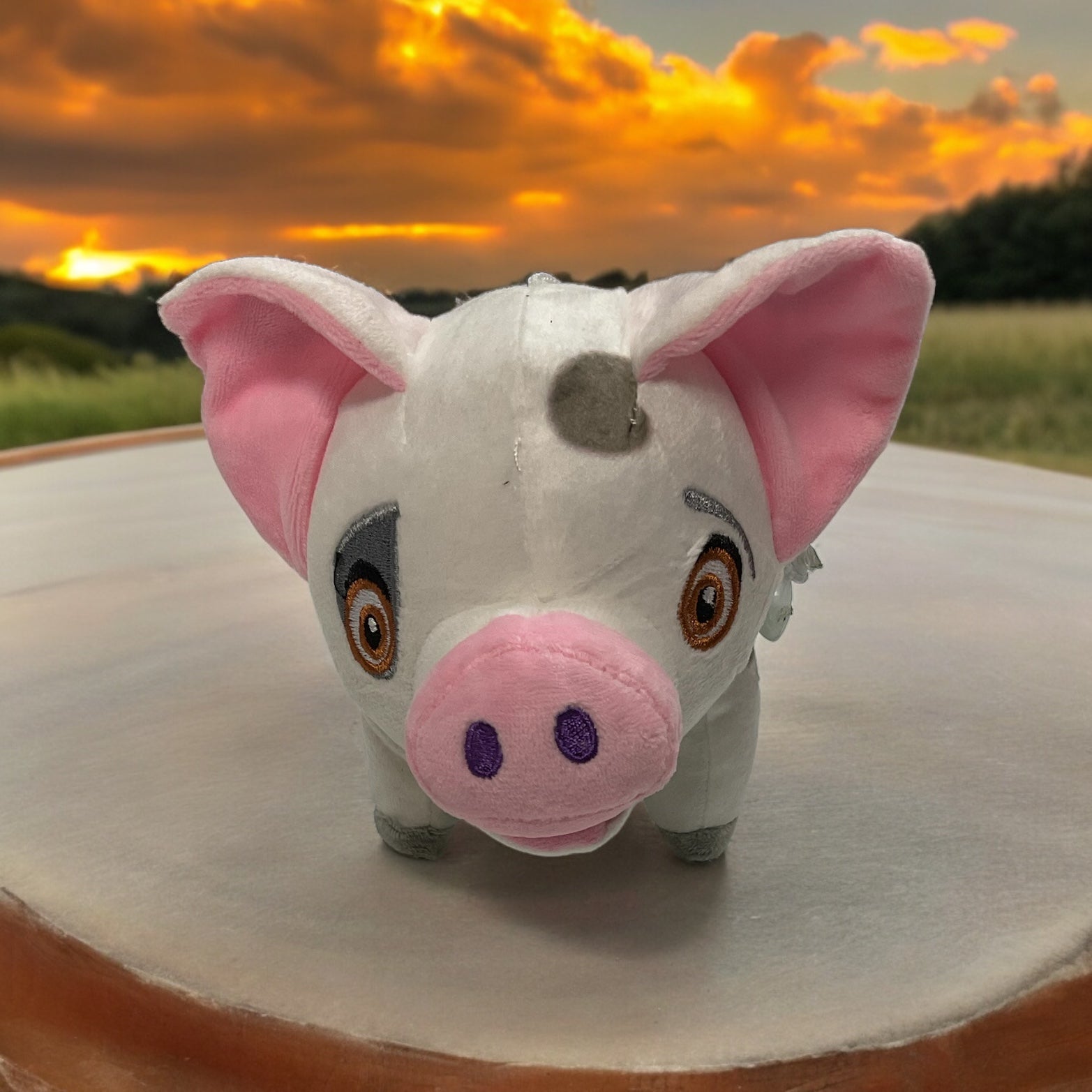 Plush Pig